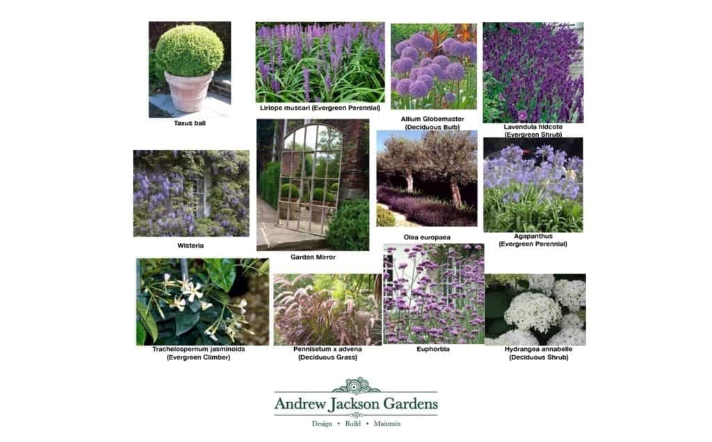 Planting Mood board 1