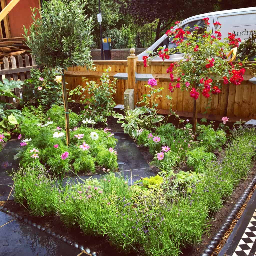 Maintenance - Andrew Jackson Gardens | Garden Design Services | London
