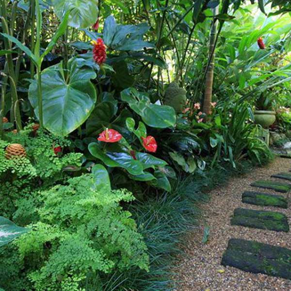 Tropical